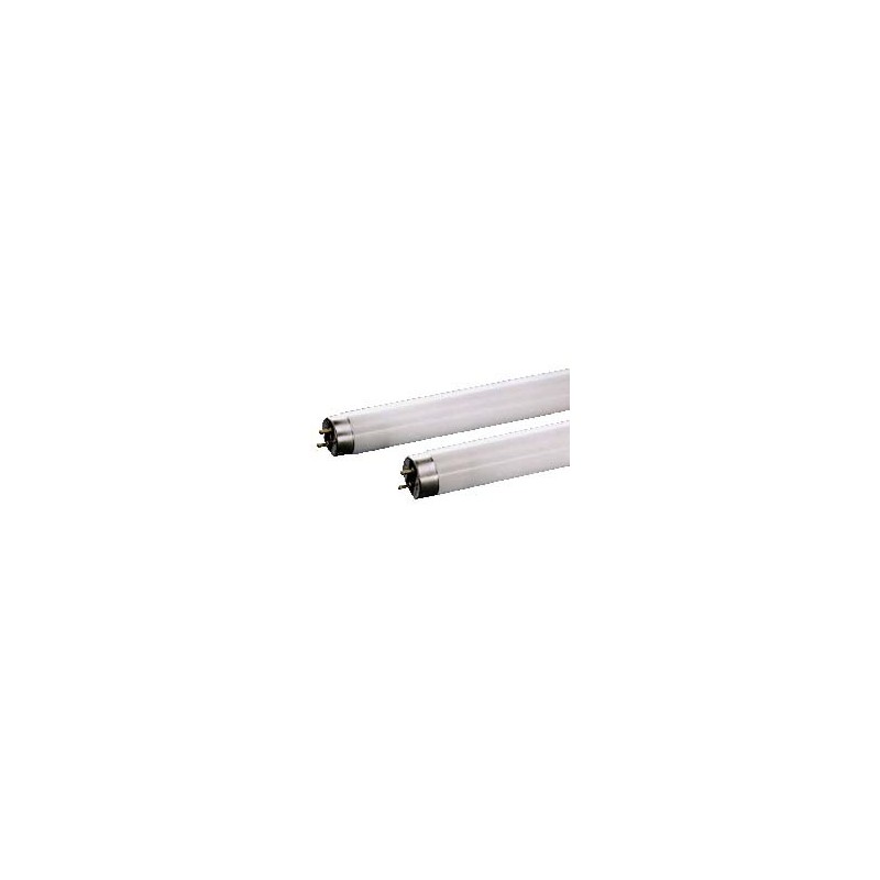 Tube Neon 70 Cm T8 18W Blanc