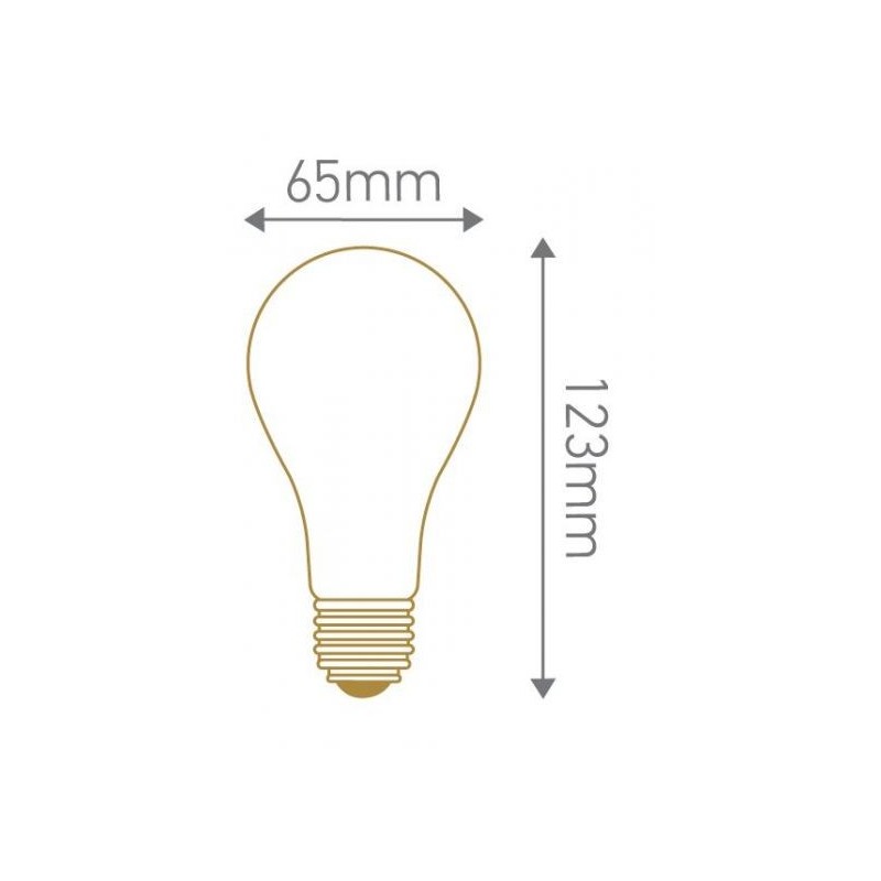 Ampoule standard A65 LED 330° 12 Watt