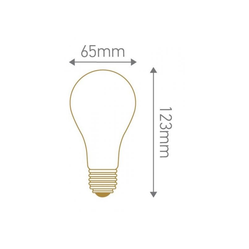 Ampoule standard A65 Led 330° 12w