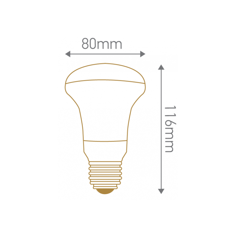 Spot R80 Led 120° E27 10W