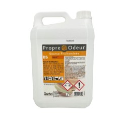 DS mangue détergent surodorant 5L