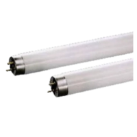 Tube néon