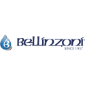BELLINZONI