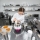 Comprendre la norme HACCP dans le secteur CHR